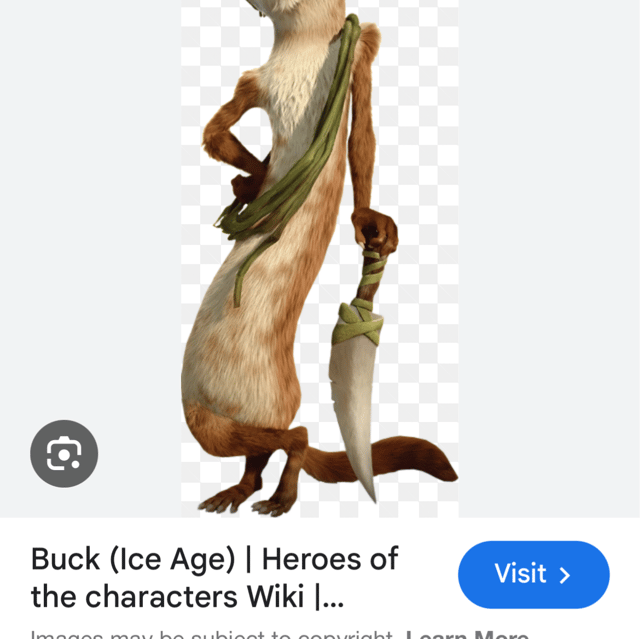 Buck  Image