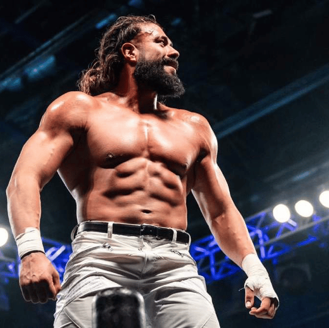 ANDRADE AI Voice