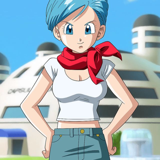 Bulma (Eng) Image