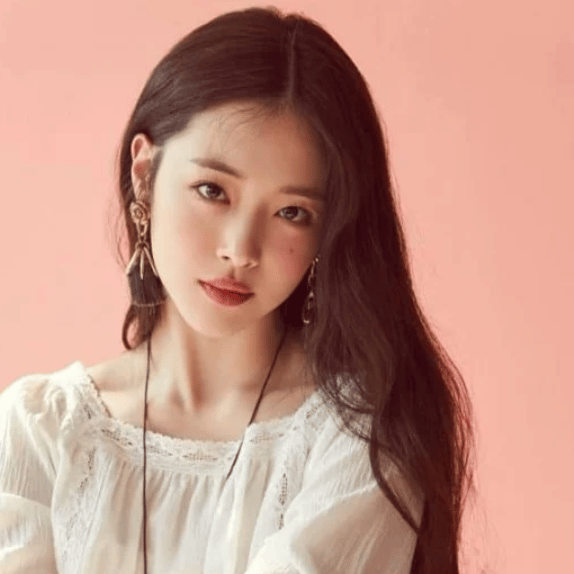 F(X)n Sulli Image
