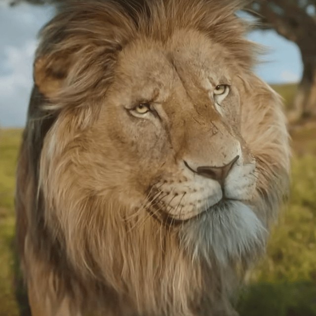 Obasi {Mufasa: The Lion King} AI Voice