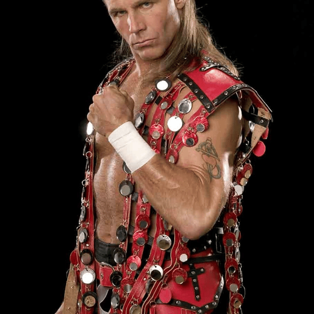 Shawn Michaels (WWE, HBK) AI Voice