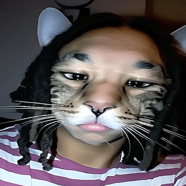 embro Image