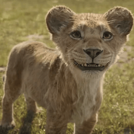 Young Mufasa {Mufasa: The Lion King} Image