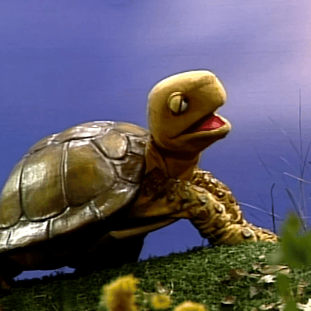 Shelly the Turtle (Sesame Street) AI Voice