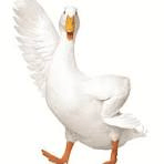 Aflac Duck AI Voice