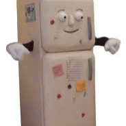 Fridge (DHMIS) AI Voice