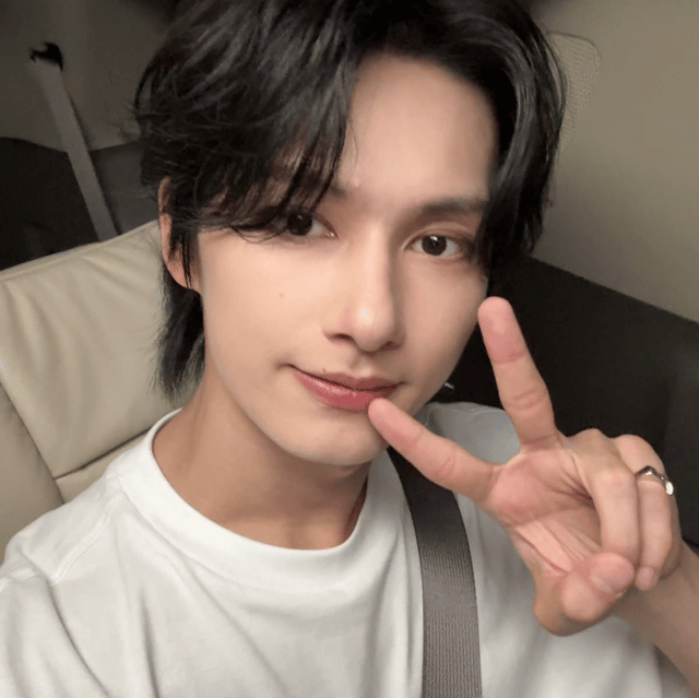 SEVENTEEN - JUN AI Voice