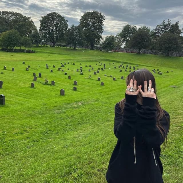 Saramalacara (heráldica) Image