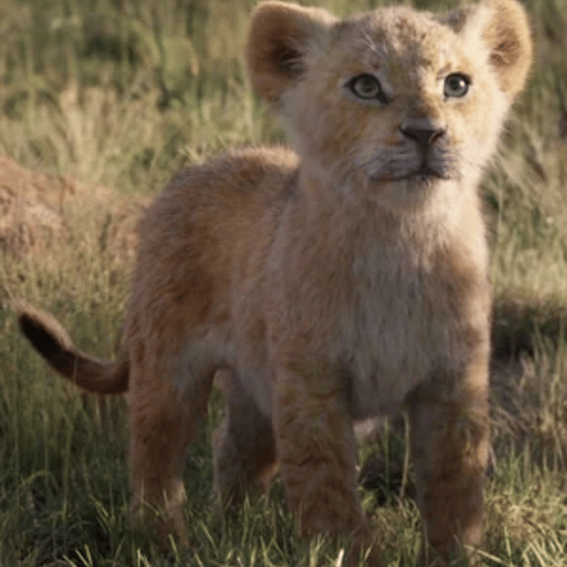 Young Nala {The Lion King 2019} AI Voice
