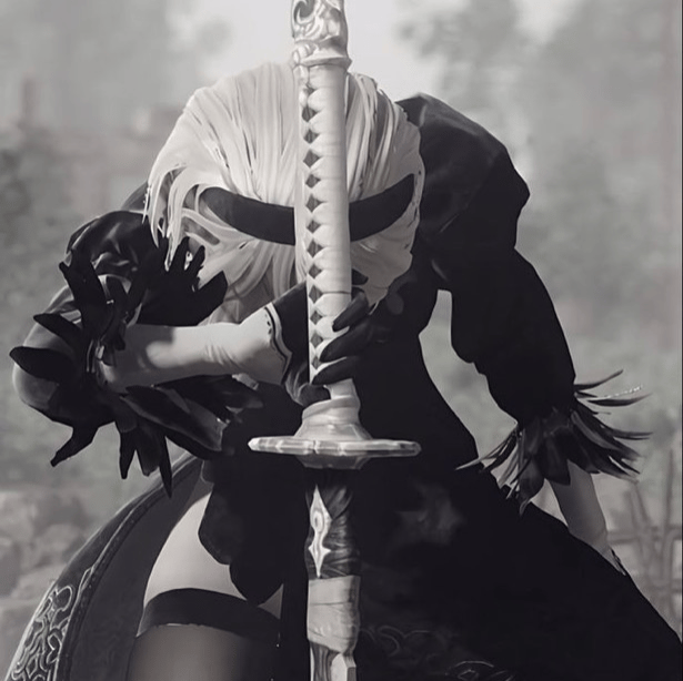 2b Image