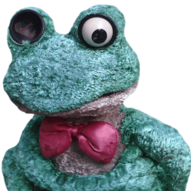 Froggy voice Image