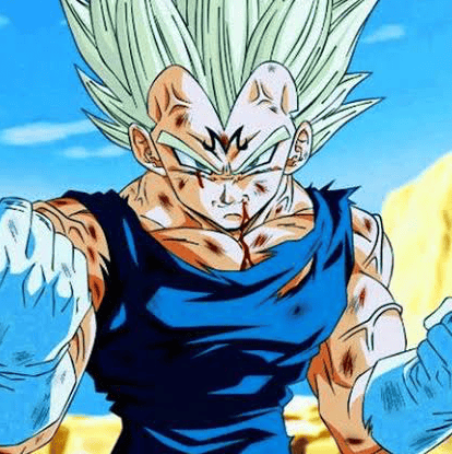 (Z) Vegeta Image