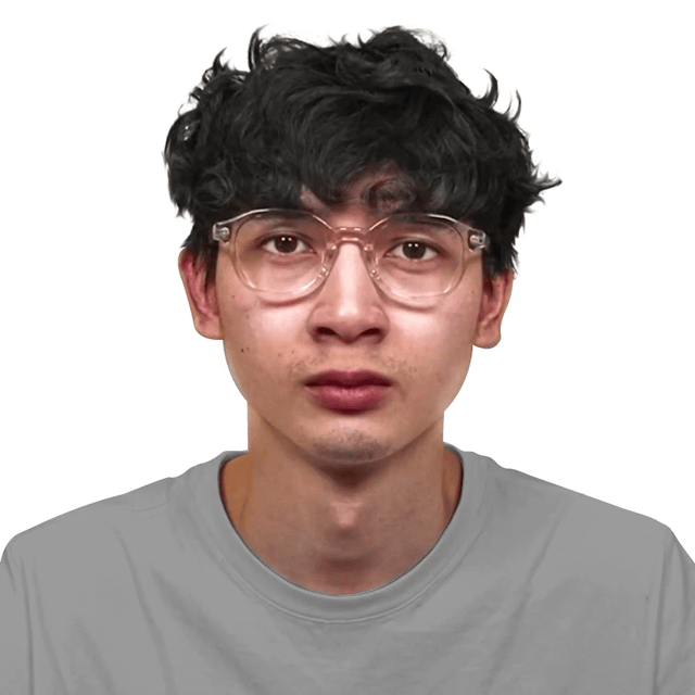 ELEVENZ AI Voice