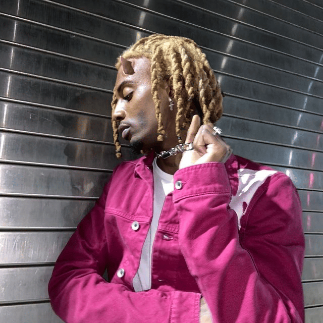 Playboi Carti WLR V2 (BEST VERSION) AI Voice