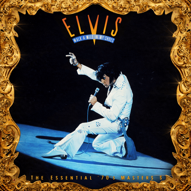The Essential '70s Masters V1  AI Voice