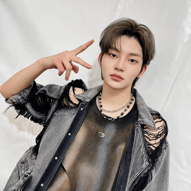 Guo Dianjia AI Voice