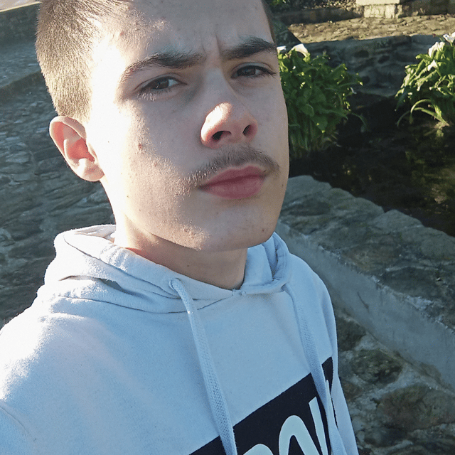 Algator00 (new) Image