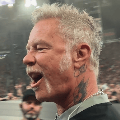 James hetfield V5 Image
