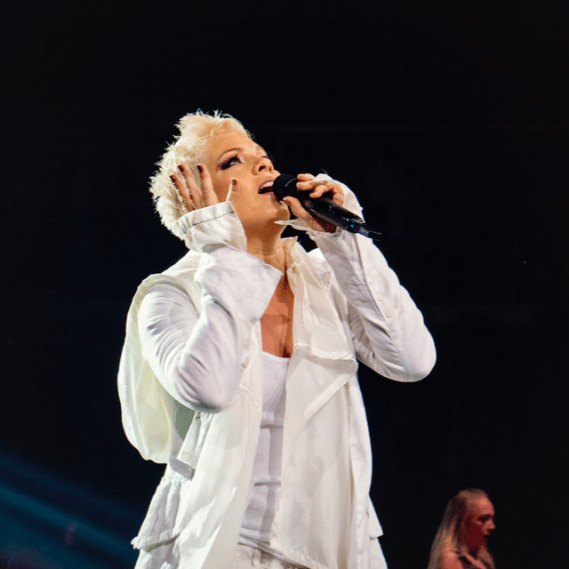 P!nk (Beautiful Trauma Era) Image
