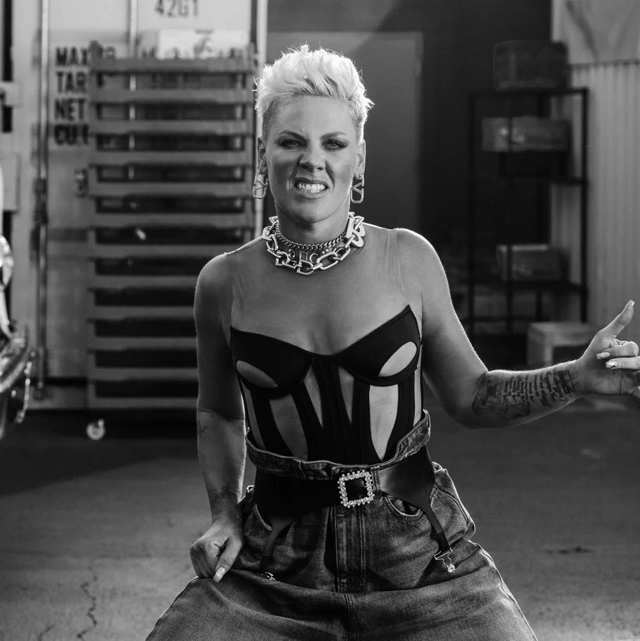 P!nk (Trustfall V2) HQ AI Voice