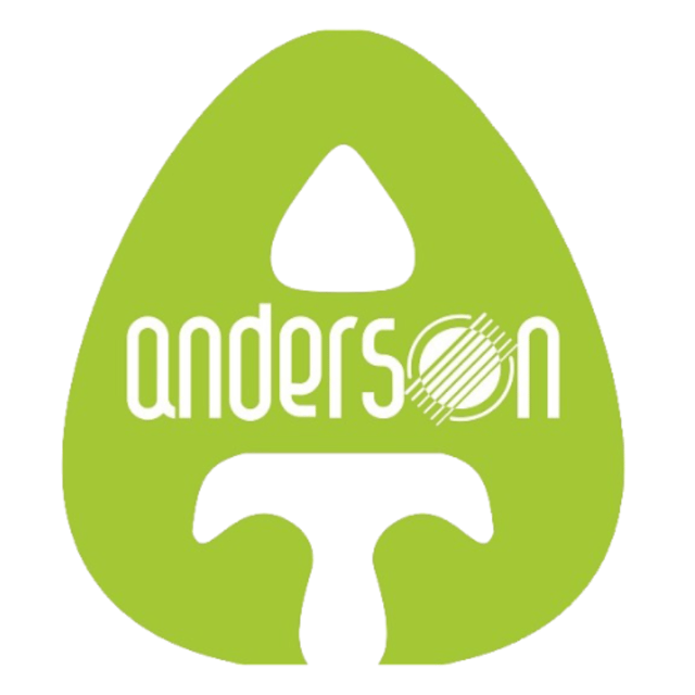 Anderson Texeira AI Voice