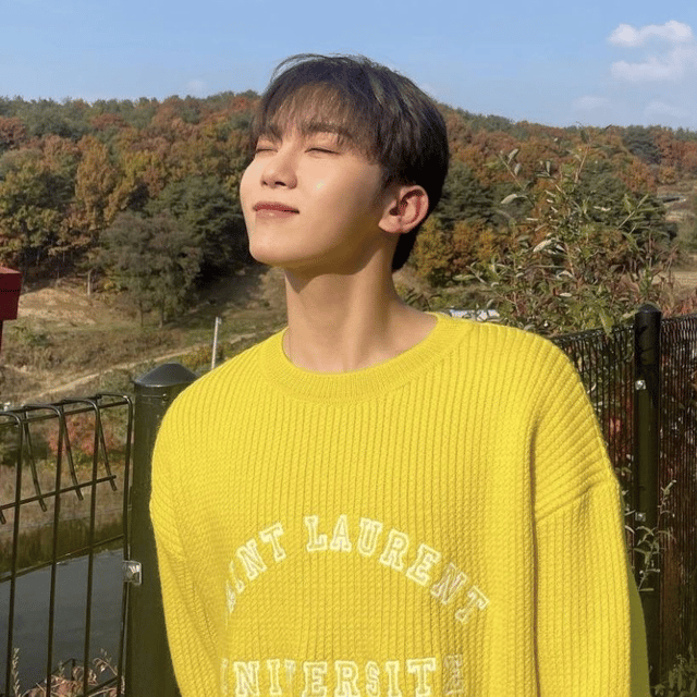 SEVENTEEN - SEUNGKWAN AI Voice