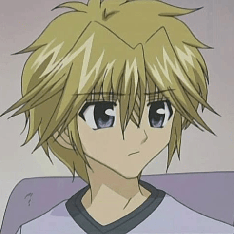 Seiji Hiwatari (Kirarin Revolution) AI Voice