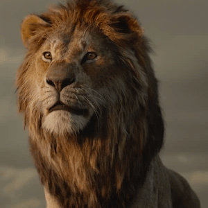 Adult Simba {The Lion King 2019} Image