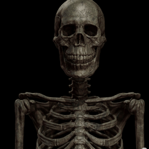 SCP-3114  AI Voice