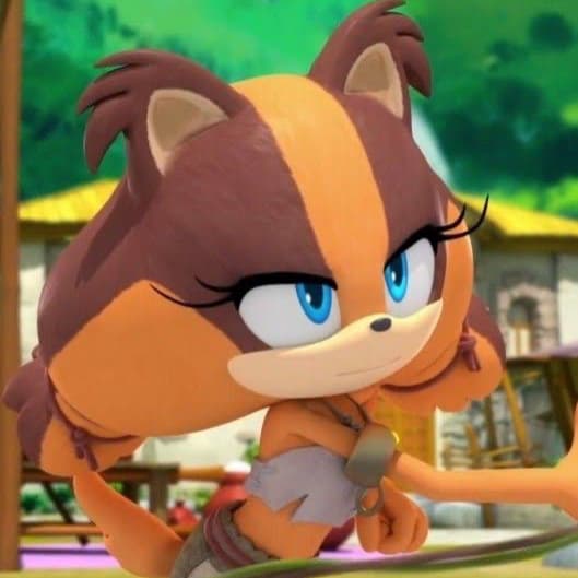 Sticks (Sonic Boom) Latino Image