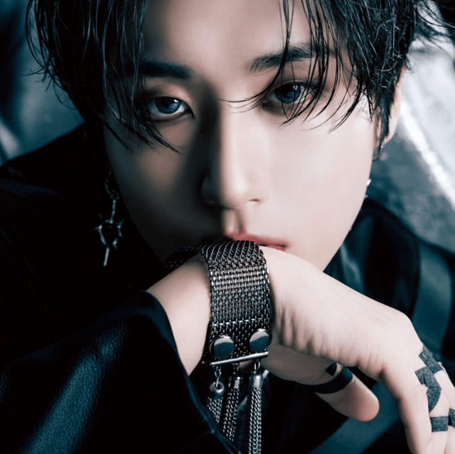 HAN From STRAY KIDS AI Voice