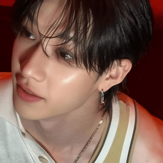 Bang Chan (hehe) AI Voice