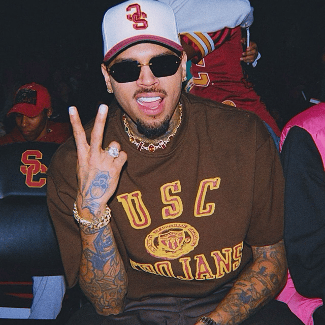 Chris Brown AI | V4 (Raspy Voice) AI Voice