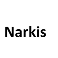 Narkis AI Voice