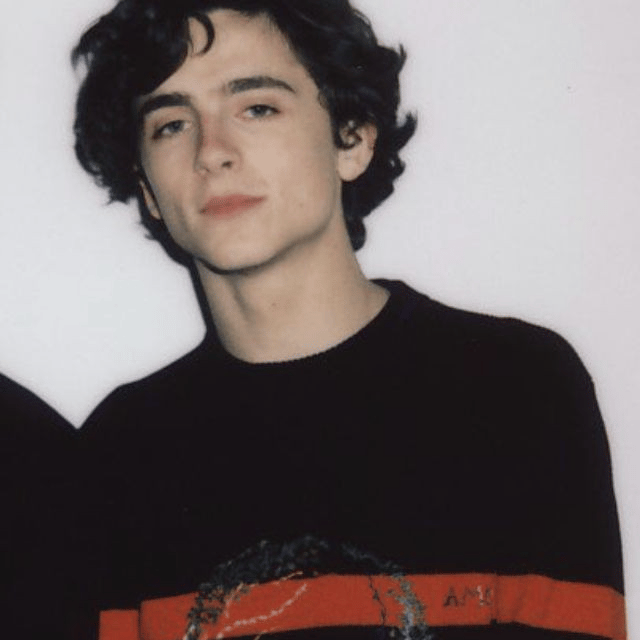 Timothee Chalamet (Timmy tin) Image
