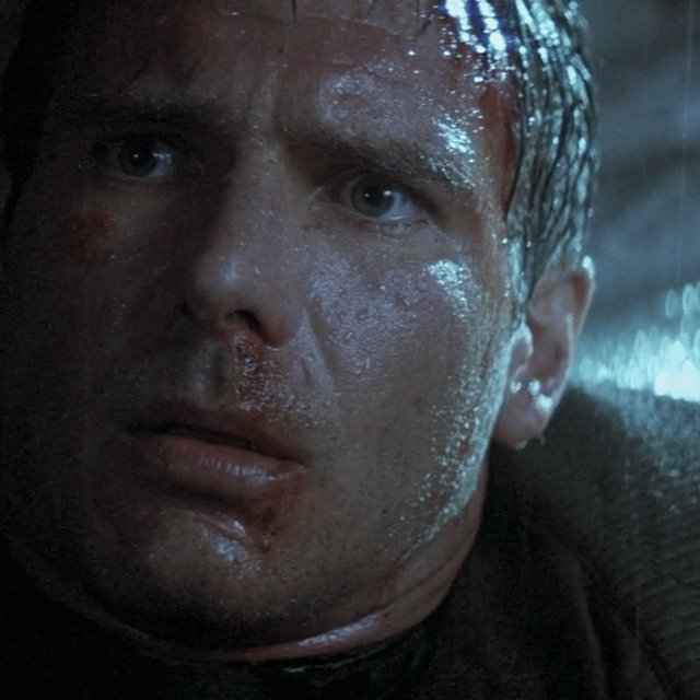 Harrison Ford Image