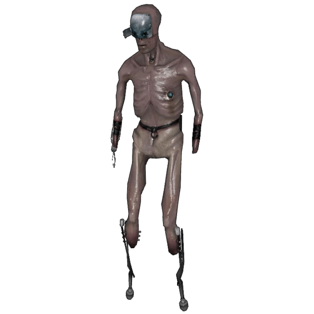 Stalker HL2 Image
