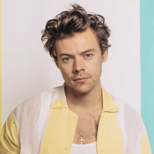 Harrie Styles (HQ) Image