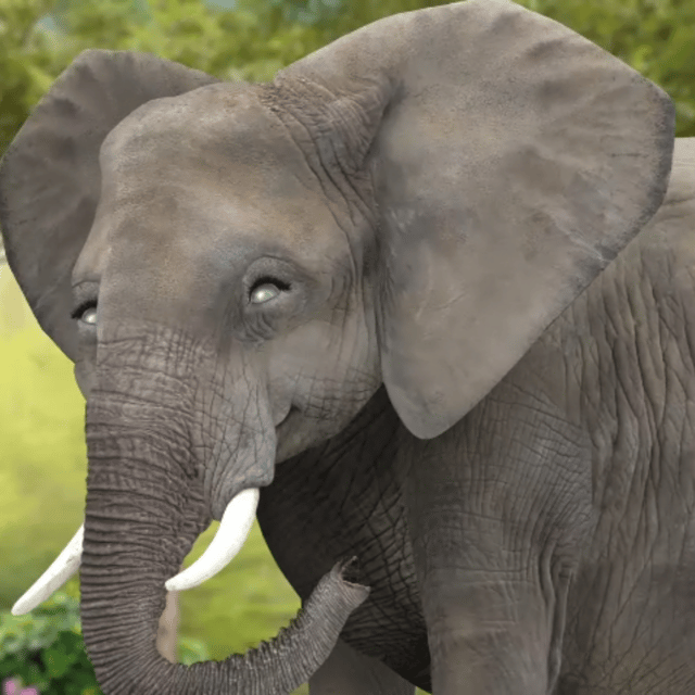 AI Little Elephant (Wonder Pets In The City) AI Voice