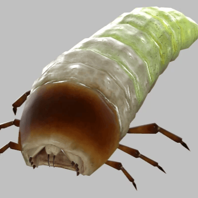 antlion grub HL2:ep2 AI Voice