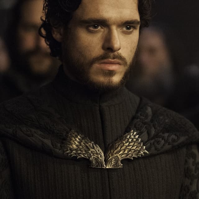 Rob Stark ( GOT )  Image