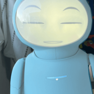 Stefna_Rap AI Voice