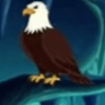 Avatar Pengguna